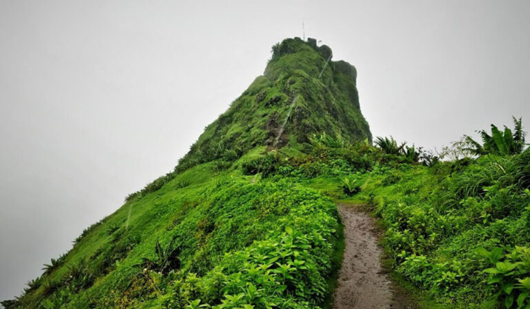 Tung Fort